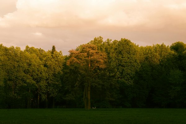 Explorez votre véritable nature grâce à un astrologue en ligne professionnel