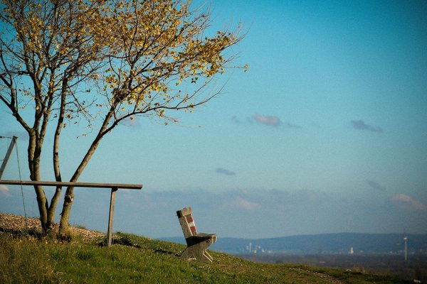 Comprendre l'alimentation équilibrée : Mythes et réalités